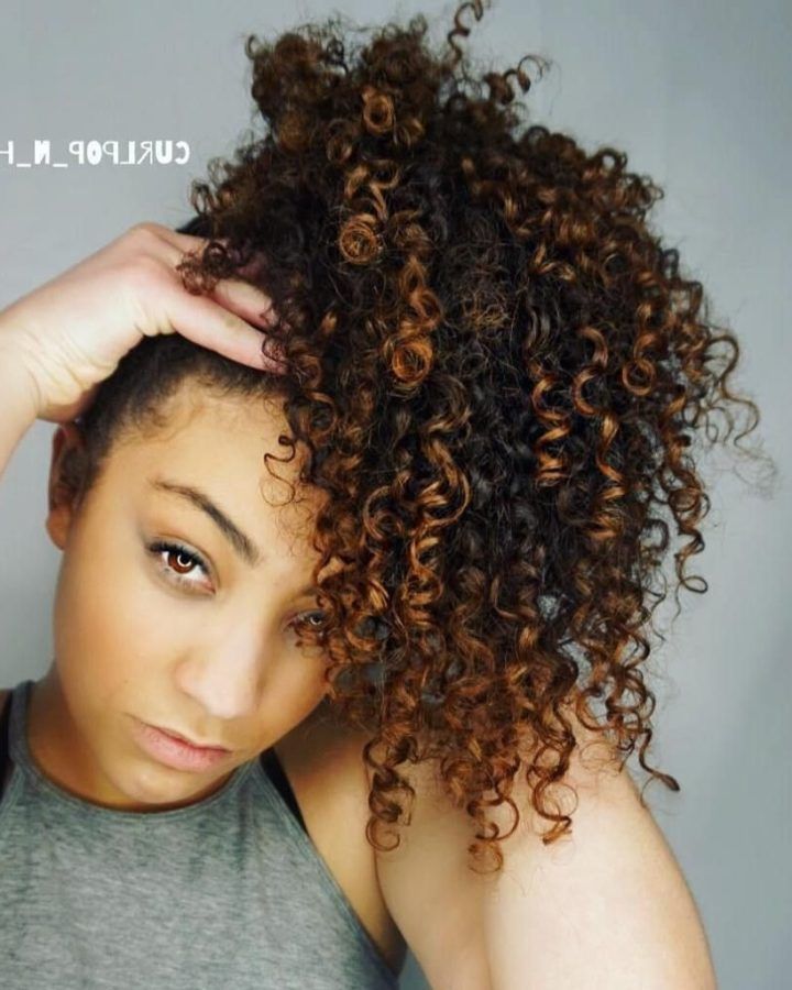 20 Best Highlighted Afro Curls Ponytail Hairstyles