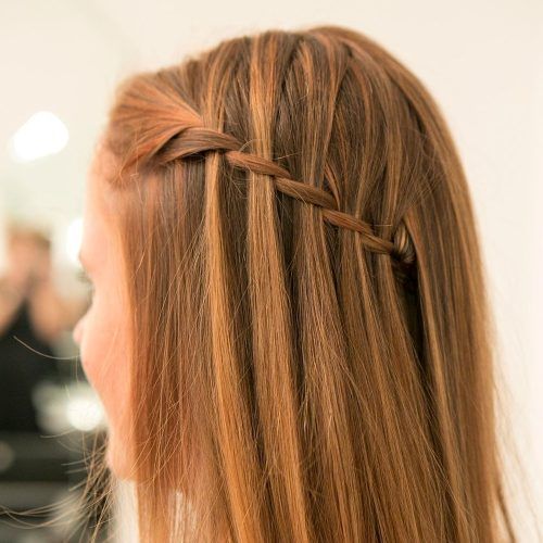 Braided Along The Way Hairstyles (Photo 16 of 20)