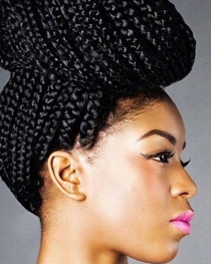 15 Best Collection of African Braid Updo Hairstyles