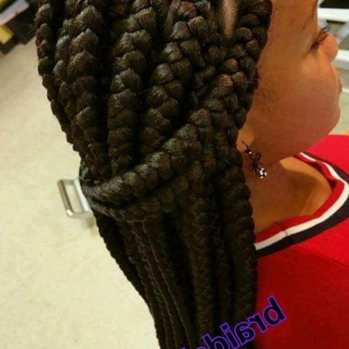 Braided Hairstyle With Jumbo French Braid (Photo 11 of 15)