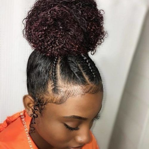 Braided Hairstyles For Natural Hair (Photo 3 of 15)
