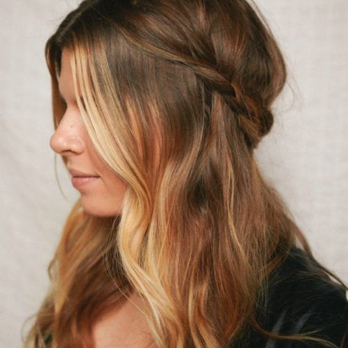Braided Hairstyles With Hair Down (Photo 9 of 15)