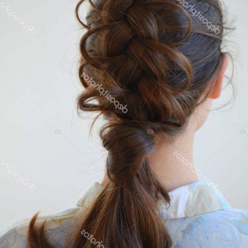 Braided Shoulder Length Hairstyles (Photo 19 of 20)