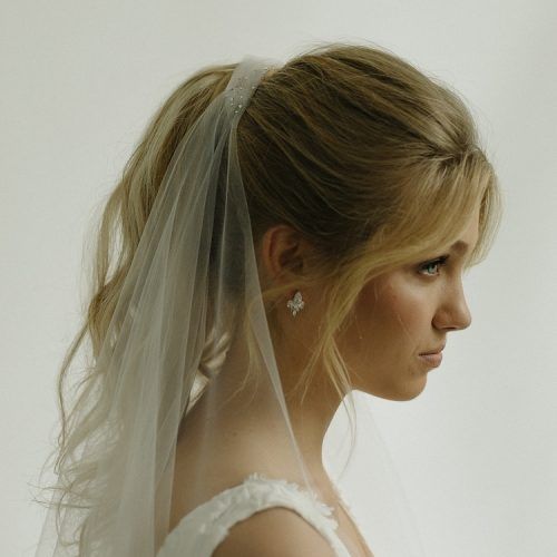 Classic Bridesmaid Ponytail Hairstyles (Photo 16 of 20)
