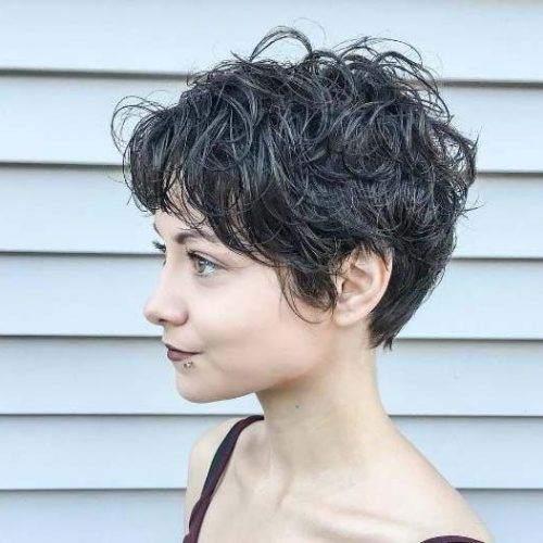 Curly Short Pixie Haircuts (Photo 16 of 20)