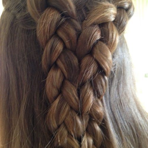 Double Rose Braids Hairstyles (Photo 1 of 20)