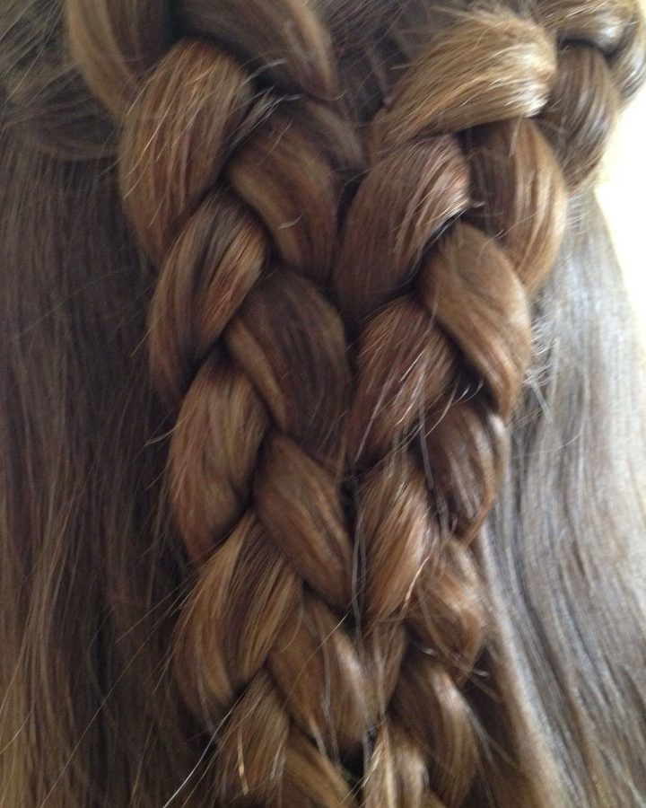 20 Best Collection of Double Rose Braids Hairstyles