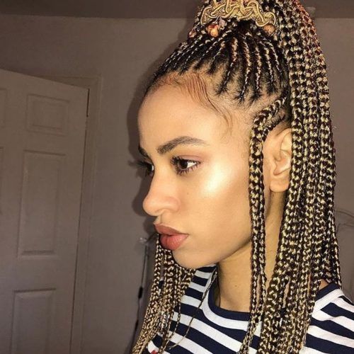 Entwining Braided Ponytail Hairstyles (Photo 13 of 20)