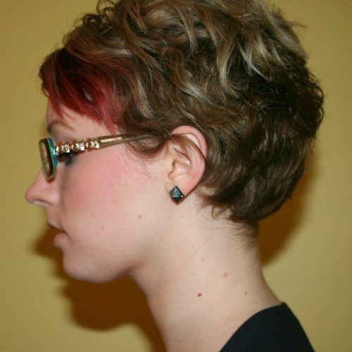 Growing-Out Pixie Hairstyles For Curly Hair (Photo 4 of 20)