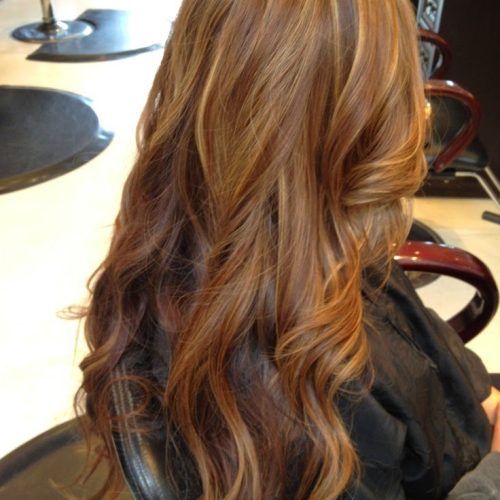 Honey Kissed Highlights Curls Hairstyles (Photo 7 of 20)
