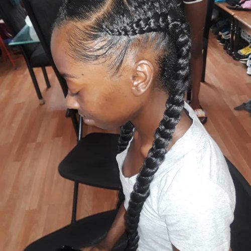 Long Hairstyles With Multiple Braids (Photo 13 of 20)