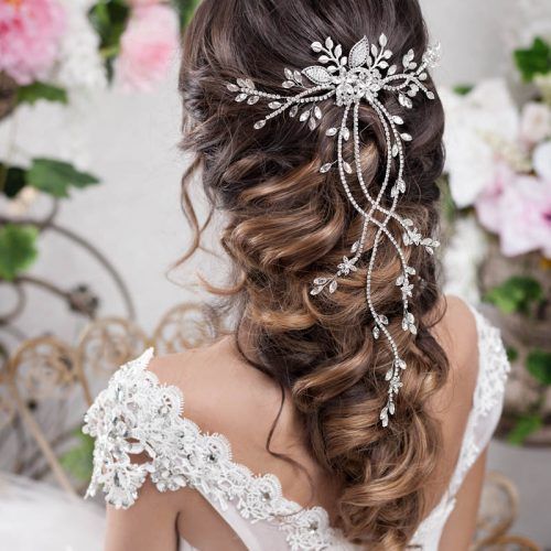 Long Half-Updo Hairstyles With Accessories (Photo 10 of 20)