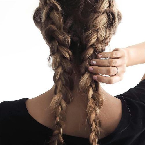 Loose Hair With Double French Braids (Photo 10 of 15)