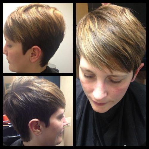 Pixie Haircuts With Highlights (Photo 14 of 20)