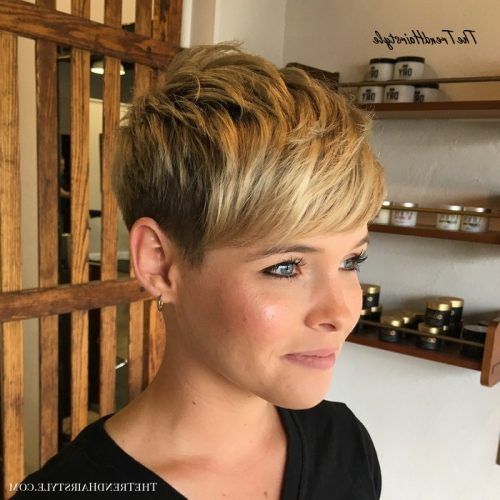 Pixie Shag Haircuts For Women Over 60 (Photo 13 of 20)