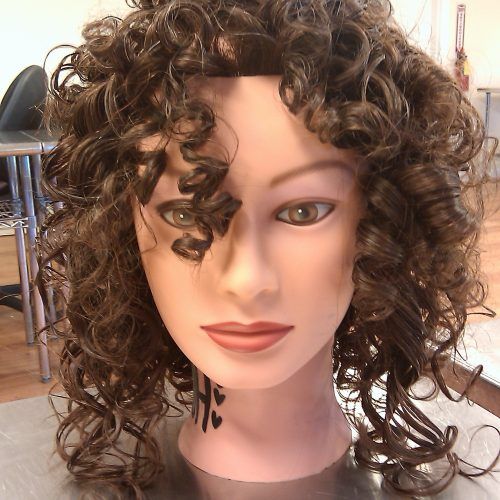 Shaggy Perm Hairstyles (Photo 6 of 15)