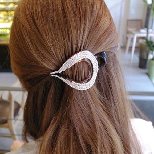 Hair Clips For Thick Long Hair (Photo 3 of 15)