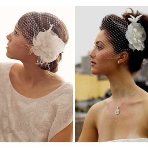 Wedding Hairstyles For Long Hair With Birdcage Veil (Photo 15 of 15)