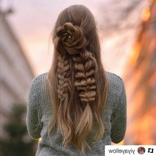 Rolled Roses Braids Hairstyles (Photo 18 of 20)