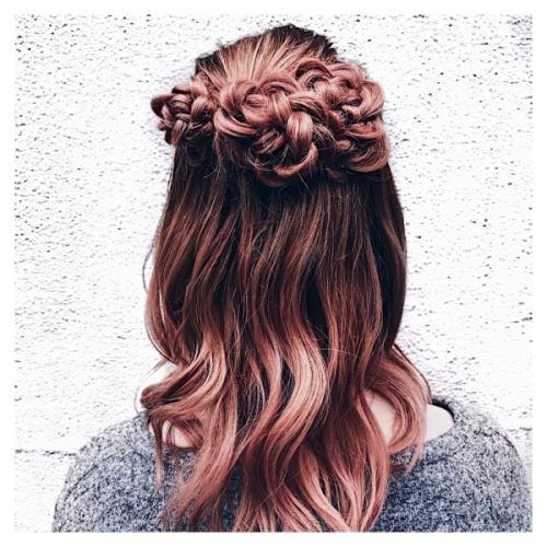 Rolled Roses Braids Hairstyles (Photo 4 of 20)