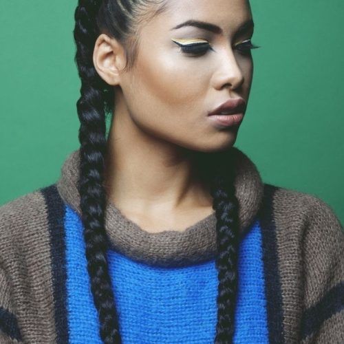 A Layered Array Of Braids Hairstyles (Photo 8 of 20)
