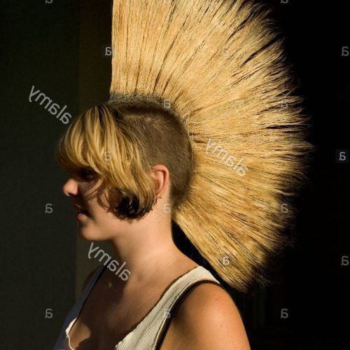 Blonde Mohawk Hairstyles (Photo 13 of 20)