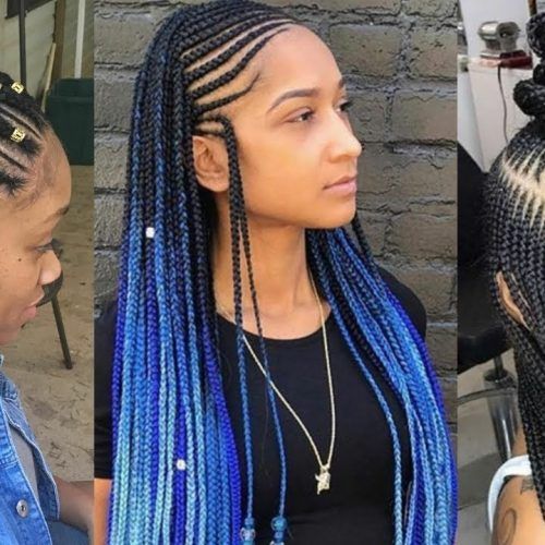 Blue And Black Cornrows Braid Hairstyles (Photo 6 of 20)