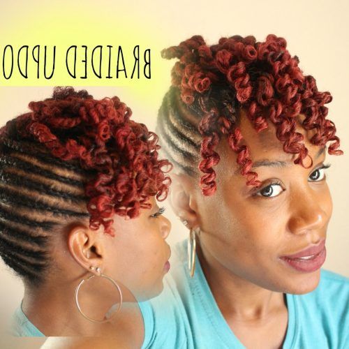Braided Hairstyles With Natural Hair (Photo 13 of 15)