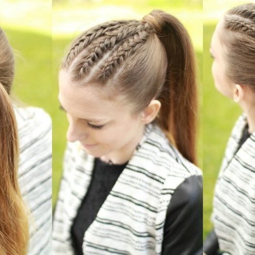 Braided Hairstyles With Ponytail (Photo 13 of 15)