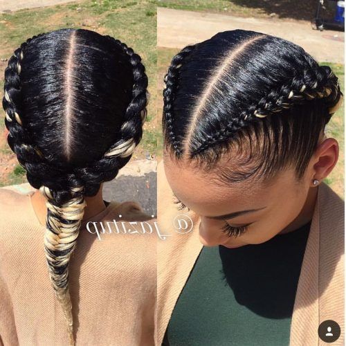 Cornrow Fishtail Side Braided Hairstyles (Photo 20 of 20)