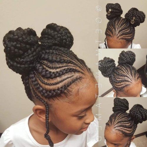 Double Braids Updo Hairstyles (Photo 11 of 15)