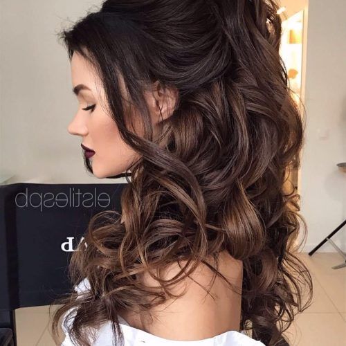 Formal Half Ponytail Hairstyles (Photo 4 of 20)