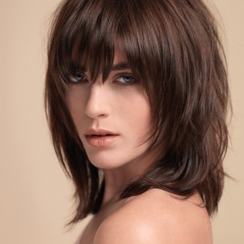 Layered Shaggy Hairstyles For Long Hair (Photo 15 of 15)