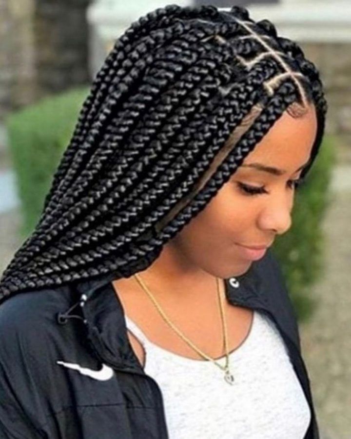 20 Collection of Medium-sized Braids Hairstyles