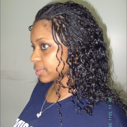Micro Braided Hairstyles (Photo 16 of 20)