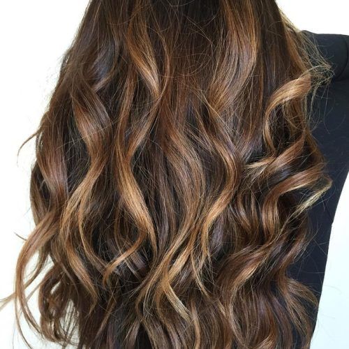 Natural Curls Hairstyles With Caramel Highlights (Photo 9 of 20)