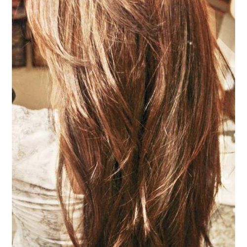 Reddish Brown Hairstyles With Long V-Cut Layers (Photo 4 of 20)