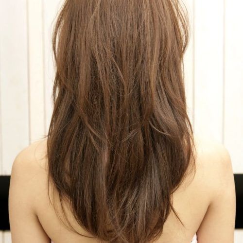 Shoulder-Length Haircuts With Long V-Layers (Photo 10 of 20)