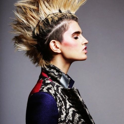 Spiked Blonde Mohawk Haircuts (Photo 9 of 15)