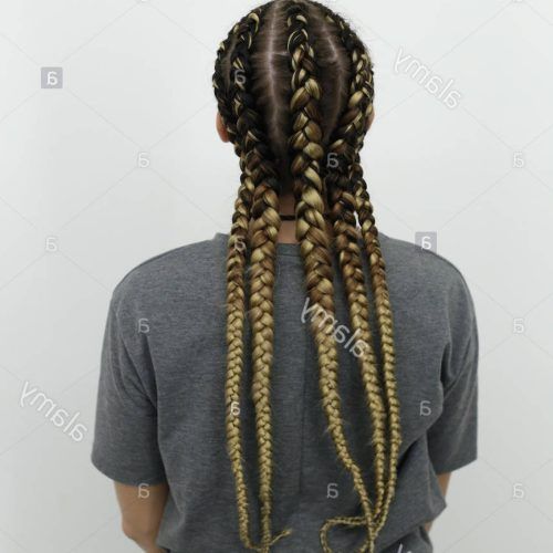 Thick Wheel-Pattern Braided Hairstyles (Photo 20 of 20)