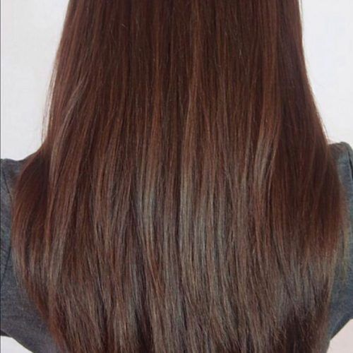 V-Cut Layers Hairstyles For Straight Thick Hair (Photo 1 of 20)