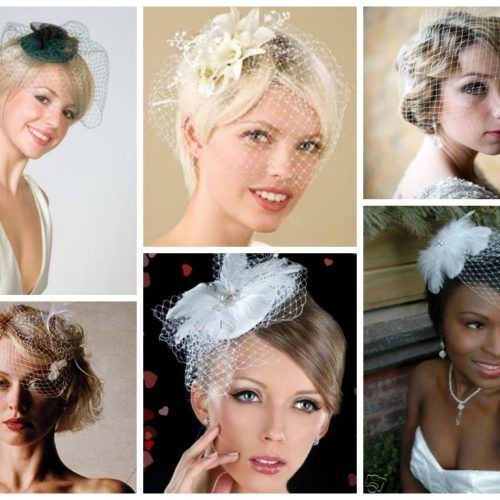 Wedding Hairstyles For Long Hair With Birdcage Veil (Photo 5 of 15)