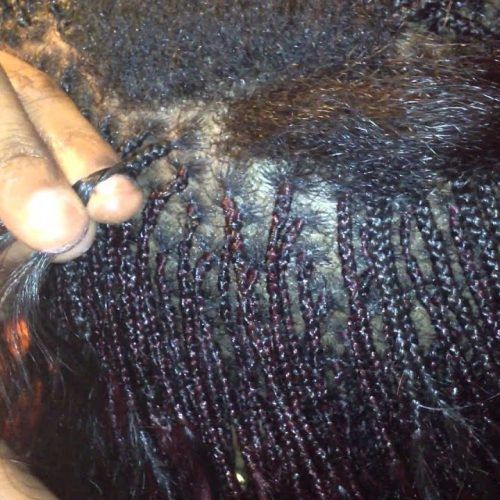 Wet And Wavy Micro Braid Hairstyles (Photo 11 of 20)