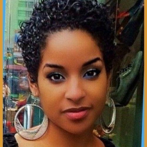 Short Hairstyles For Round Faces African American (Photo 15 of 20)