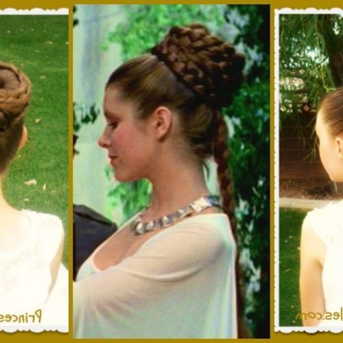 Princess-Like Ponytail Hairstyles For Long Thick Hair (Photo 12 of 20)