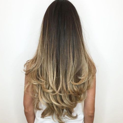 Long Dark Hairstyles With Blonde Contour Balayage (Photo 1 of 20)