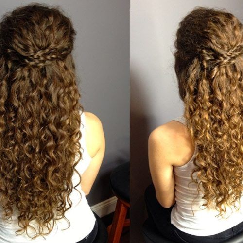 Naturally Curly Hair Updo Hairstyles (Photo 7 of 15)