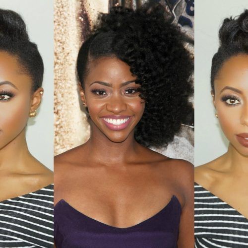 Natural Hair Updo Hairstyles (Photo 7 of 15)