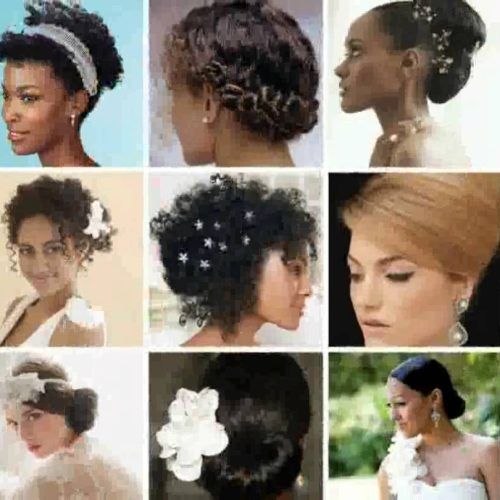 Naturally Curly Hair Updo Hairstyles (Photo 4 of 15)