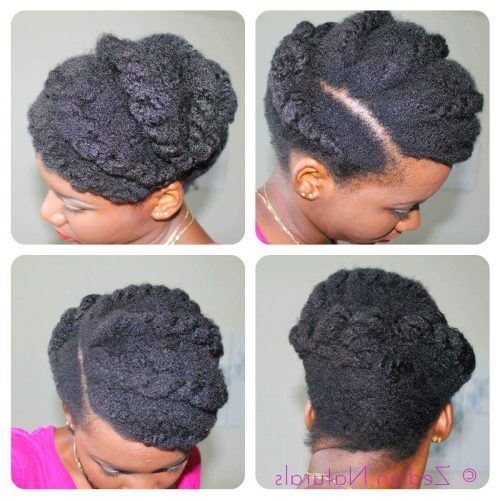 Chunky Twist Updo Hairstyles (Photo 11 of 15)